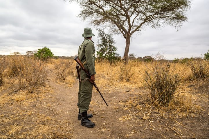 Durban: Adrenaline Junkies Safari Game Drive + Walking Safari + Zeiss Binoculars image