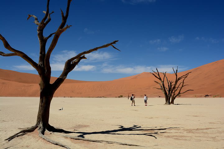 9 Day Etosha, Skeleton Coast and Sossusvlei Camping and Lodge Safari image