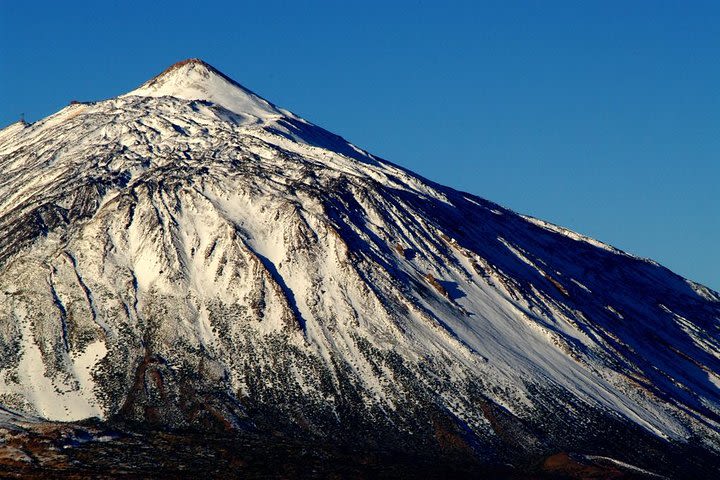 Teide National Park Half Day Trip image