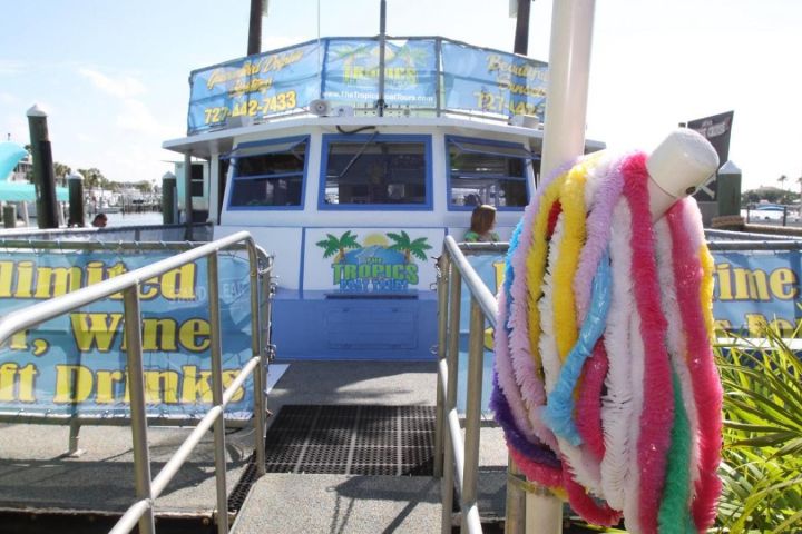 Dolphin Encounter Boat Cruise at Clearwater Beach image