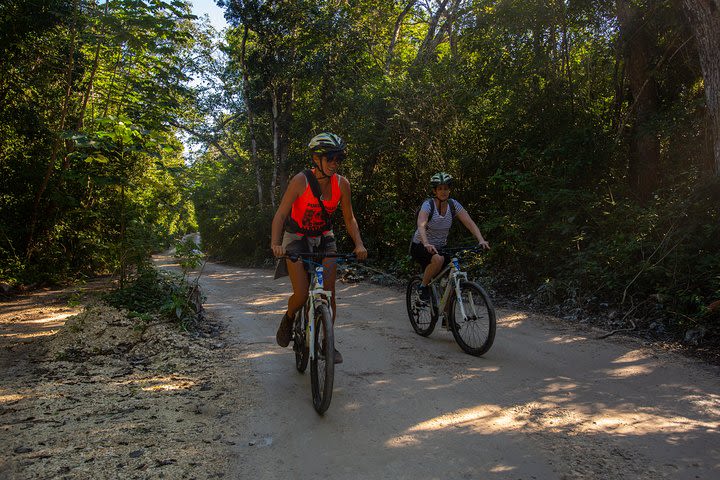 Cenote trail jungle bike tour & 3 cenotes in Tulum with lunch image