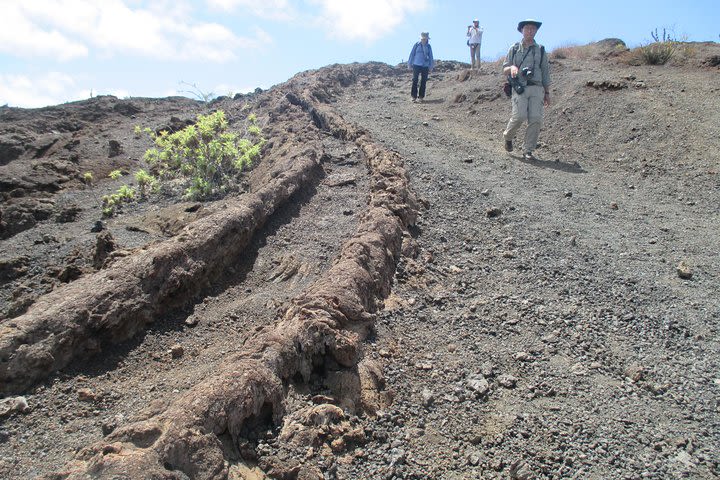 5-Day Trip in Santa Cruz Galápagos Land-based/Low budget  image