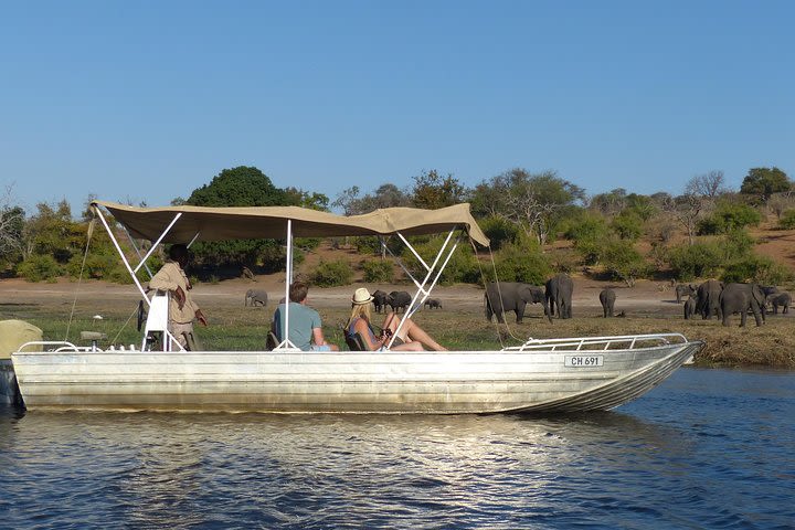 Chobe Full Day Trip From Victoria Falls image