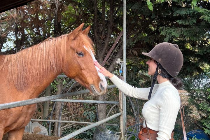 Tuscan Chianti Hills Horseback Riding Tour image