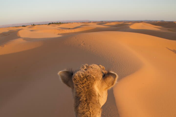 Private Desert Tour From Marrakech To Erg Chebbi And Camel Ride image