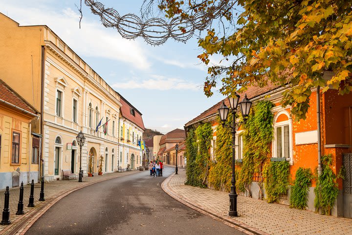 Full-Day Tokaj UNESCO World Heritage Site Private Wine Tour image