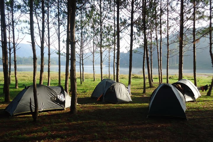 Jungle Fever With 2 Day Trekking From Tuyen Lam Lake To Chicken Village in Dalat image