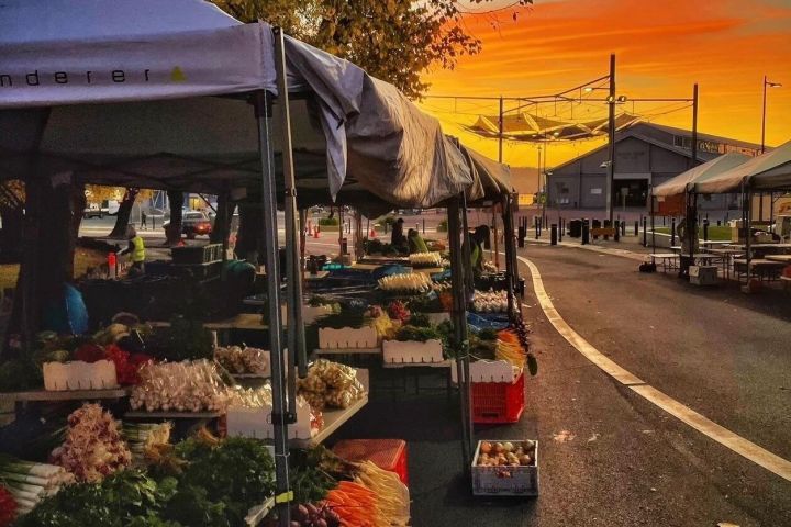 Hobart Highlights Day Tour image