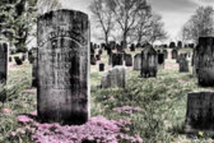 Halloween Historic Cemetery Tour  image