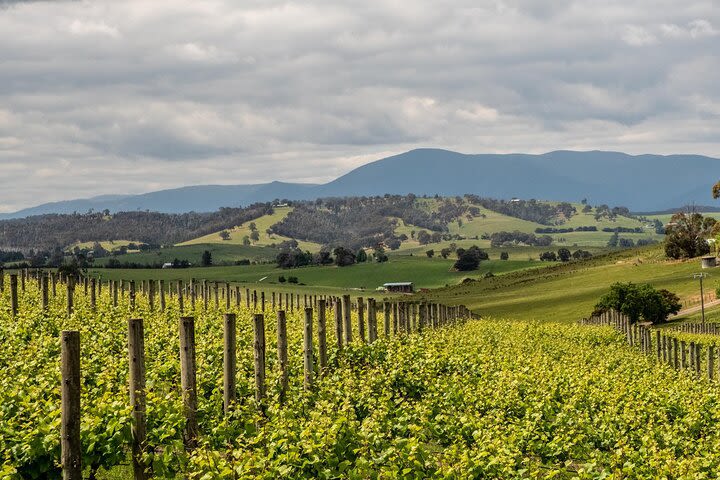 Niagara Wine Trail Tour image