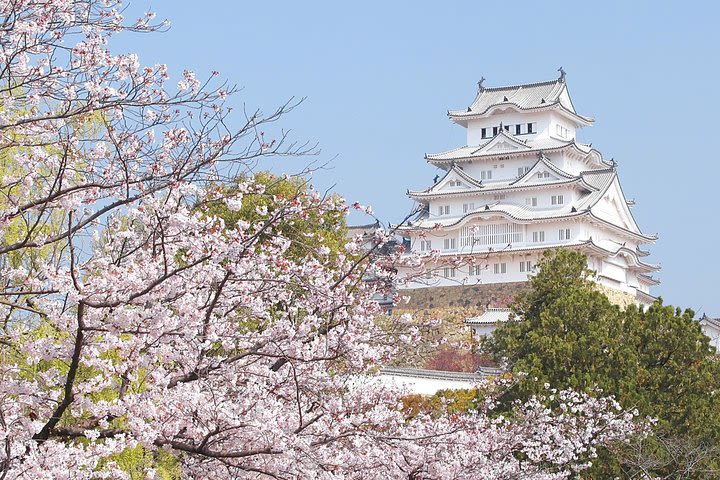 From Osaka: Himeji Castle, Kokoen Garden, Arima Onsen & Kobe 1-Day Tour image