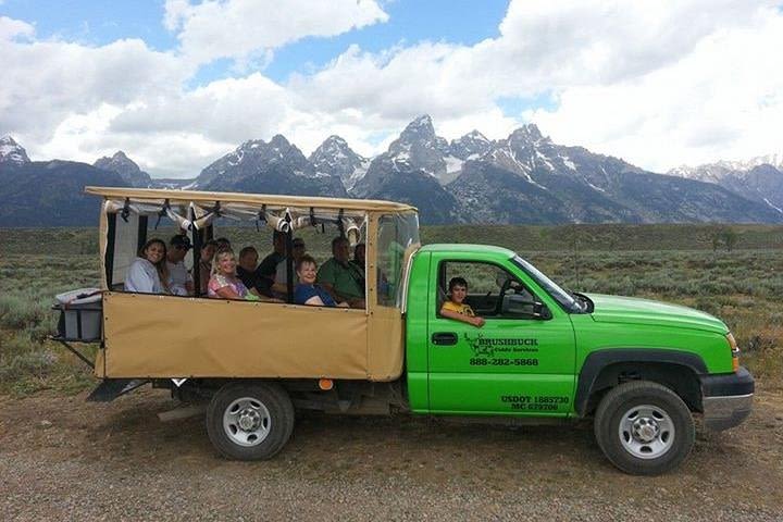 Grand Teton Wildlife Safari in Open-Air Vehicle image