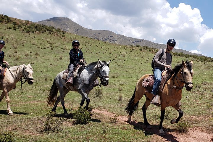 Horseback Riding Plus Tour to Sacsayhuaman, Quenqo, Puka Pucara and Tambomachay image