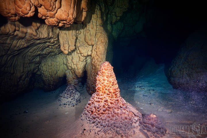 Cenotes diving Tak Be Ha and Tak Be Lum  image