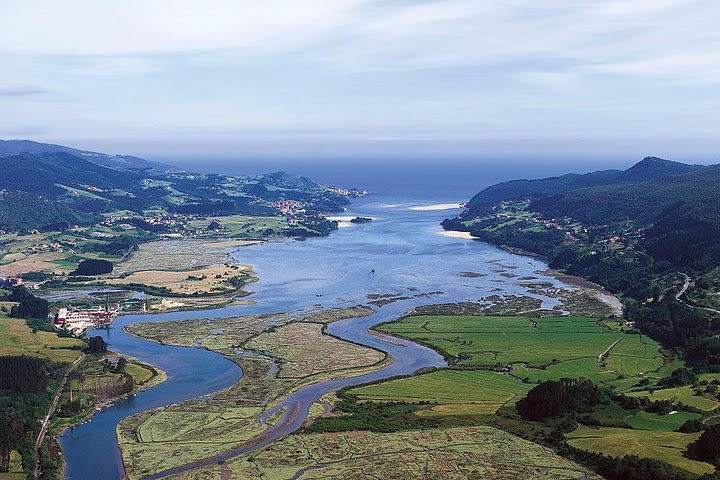 Guernica, Mundaka, Urdaibai and Bermeo Tour, lunch included  image