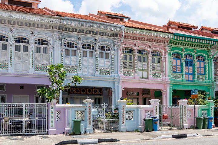 Private Tour: Cultural Enclaves in Singapore  image