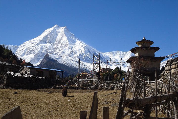 Manaslu Circuit Trek image