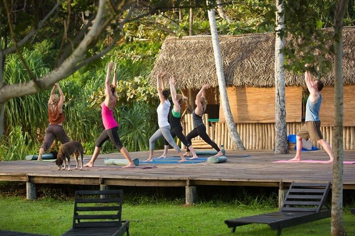 Yoga and Ayurveda wellness retreat package Sri Lanka - 07 days  image