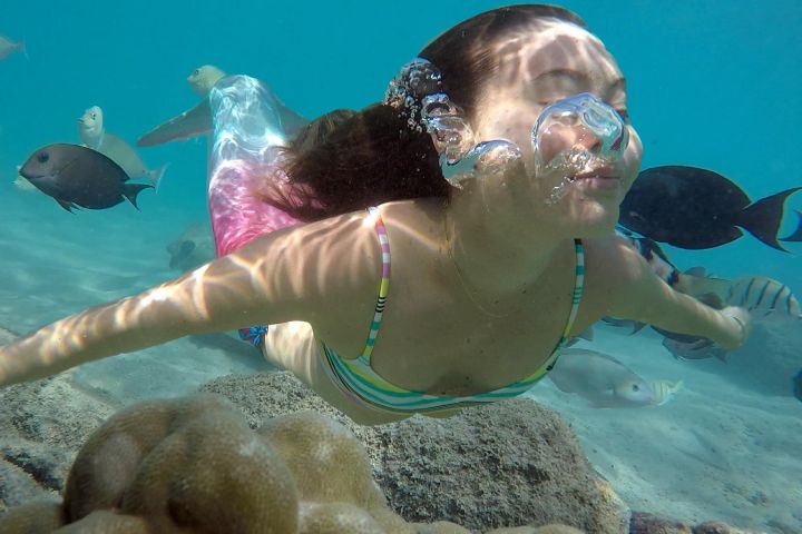 Mermaid Snorkel Adventure in Honolulu image