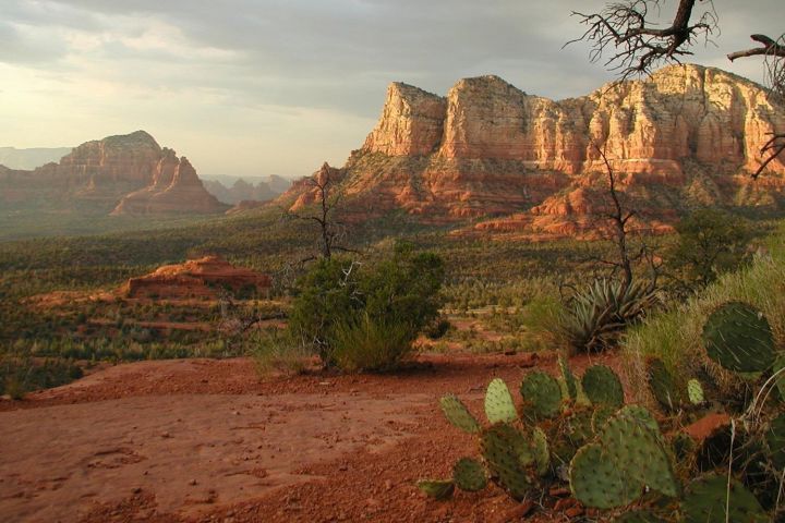 Sedona Red Rock & Native Ruins Tour image