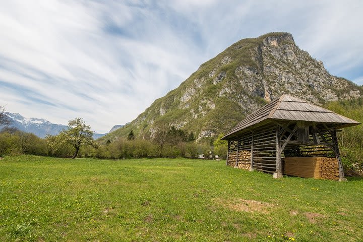 Visit Prekmurje, the land of watermills and storks - Private tour from Ljubljana image