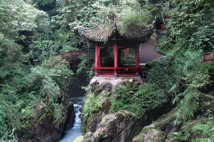 Leshan Grand Buddha & Mount Emei (Golden Summit) by high speed train 2 Day Tour image