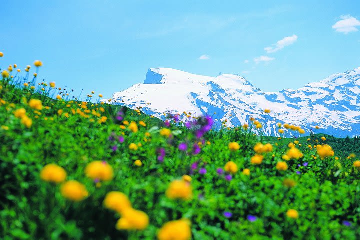 Glacier Paradise Mount Titlis from Zurich image