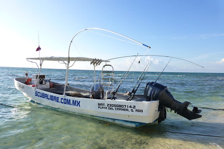 Private Fishing Trip in the Riviera Maya image