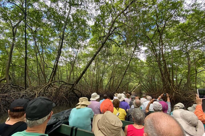 Caroni Bird Sanctuary image