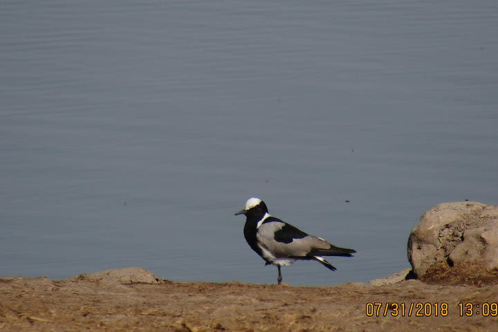 3 day Sossusvlei Safari (Accommodated) Transfer image