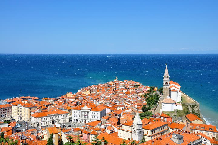 PRIVATE TOUR Lipica and Coastal City of Piran from Ljubljana image