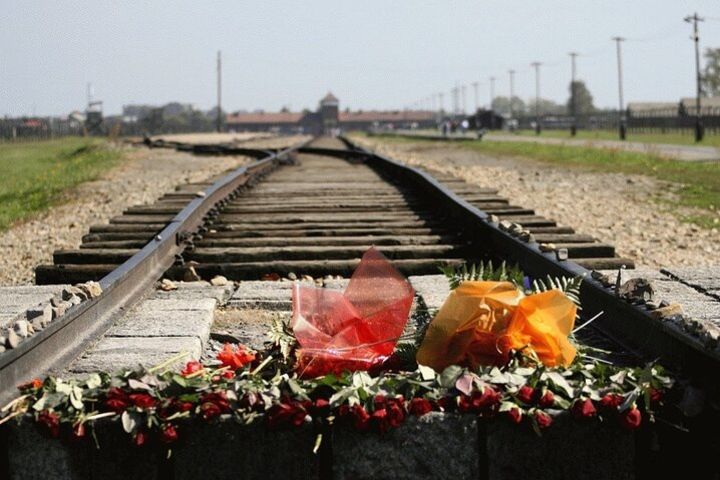 Auschwitz-Birkenau Guided Tour with Private Transport from Kraków image