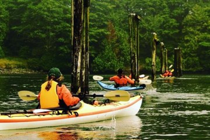 Ucluelet Harbour Tour image