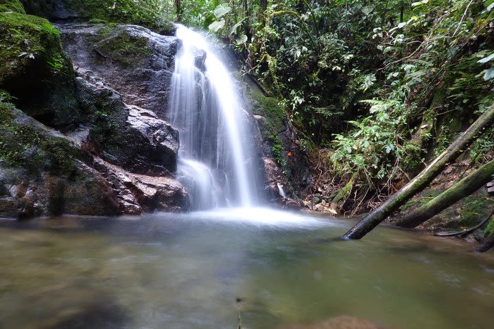 Hiking Waterfalls of El Cristalino image