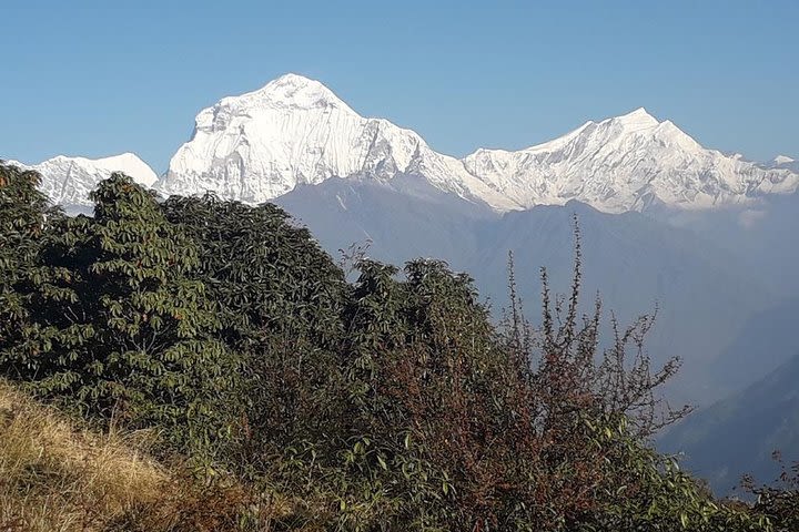 Day Trip in Pokhara  image