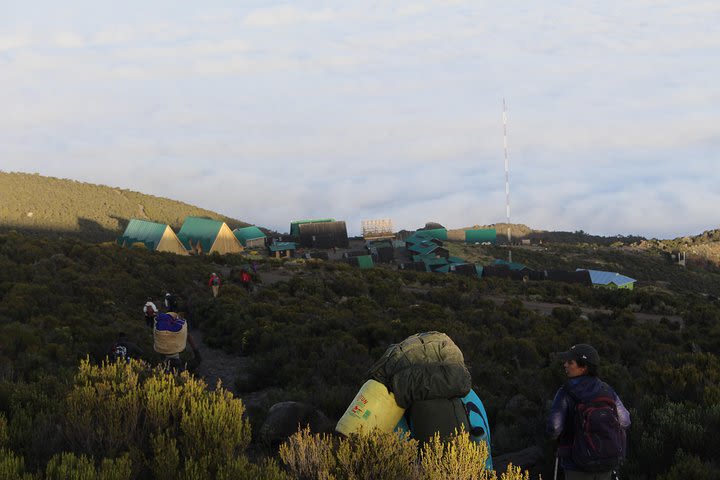 Kilimanjaro Marangu Route 5 Days image