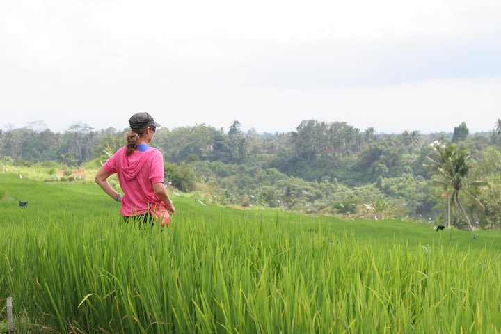 Ubud Rice Field Trekking - Exploring the rural hidden beauty of Bali image