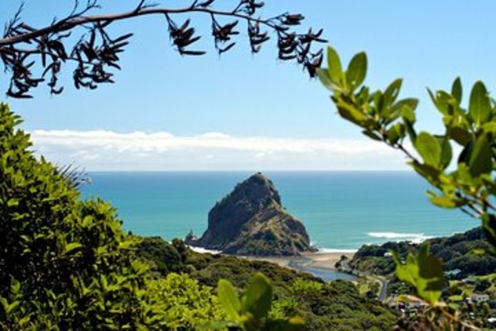 1 Great Day Auckland - Spectacular West Coast - Private Tour & Shore Excursion image