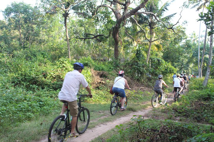 Alappuzha Backwaters & Beaches Bike Tour image