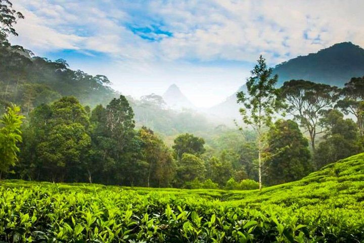 Nuwara Eliya Highlands from Kandy image