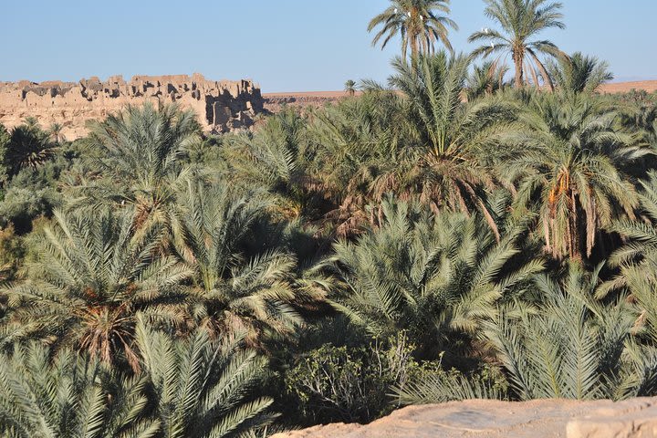 Two Days Sahara Experience from Fez - One night over the Dunes of Erg Chebbi image