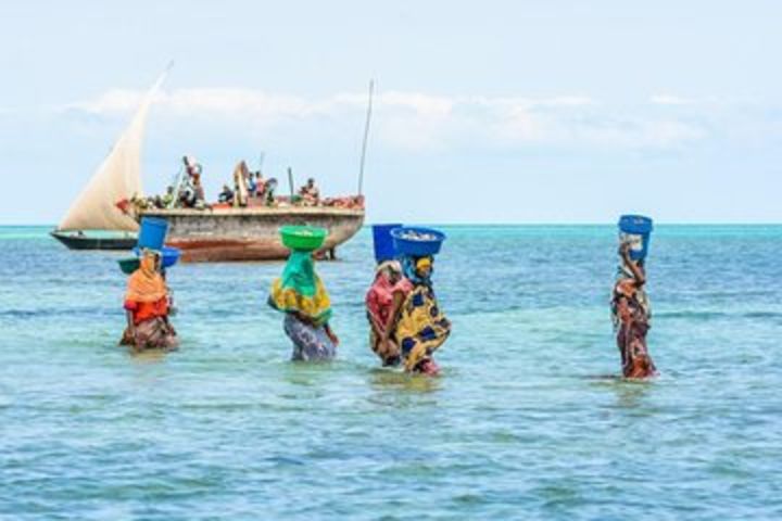 Tumbatu Island Cultural Village Tour image