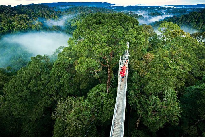 Monteverde Cloud Forest and Hanging Bridges Full-Day Tour from San Jose image