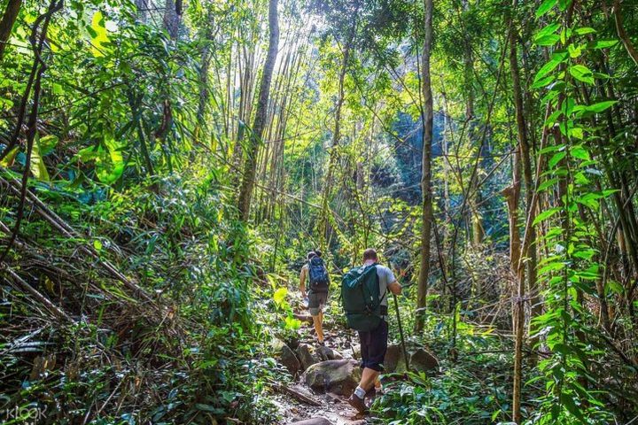 Private 3 Days Trekking: Nam Cat Tien National Park image