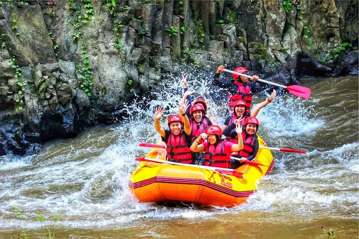 Ubud White-Water Rafting Including Private Return Transport image