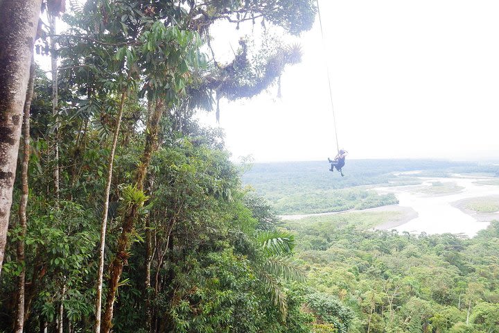 Amazon Tour in Ecuador: Puyo Day Trip from Baños image