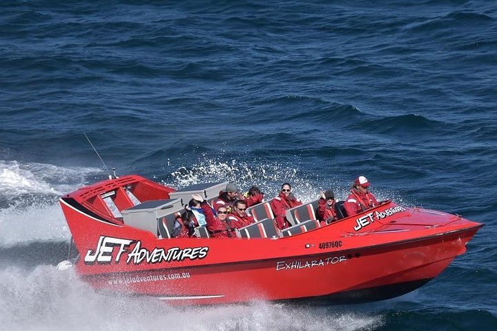 Jet Adventures & Harvest Tours Wilderness Whale Watching Experience  image