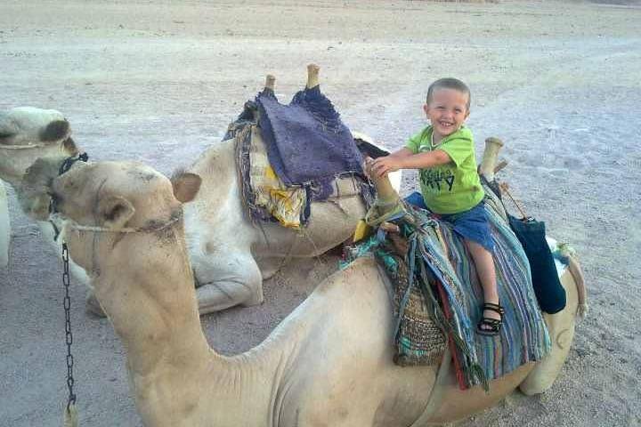 Camel ride & Bedouin dinner quad safari in Sharm el Sheikh image