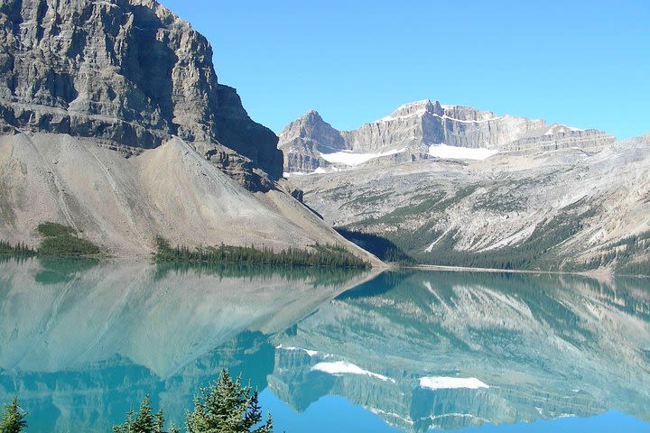 Columbia Icefield Adventure 1-Day Tour from Calgary or Banff image