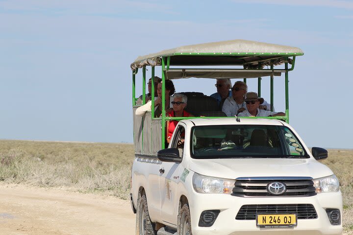 Safari in Etosha national park with professional tour guides born in Etosha. image